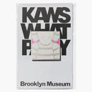 Kaws Brooklyn Museum What Party Square Pin Grey