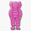 Kaws Brooklyn Museum What Party What Party Magnet Pink