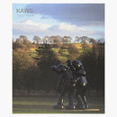 Kaws Catalogue At Yorkshire Sculpture Park Paperback Book