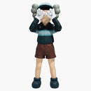 Kaws Chul-su Vinyl Figure Coloured