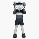 Kaws Chul-su Vinyl Figure Monotone