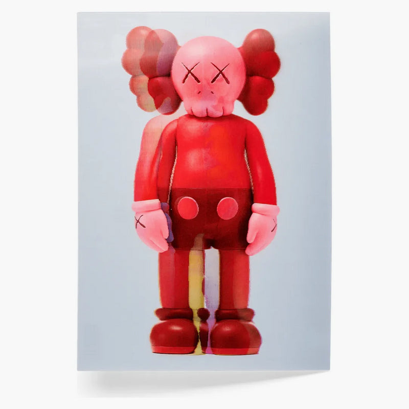 Kaws Companion Flayed soczelarny rumieniec pocztówki