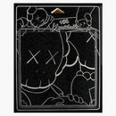 Kaws C10: The Paintings of Kaws Book (Hardcover)