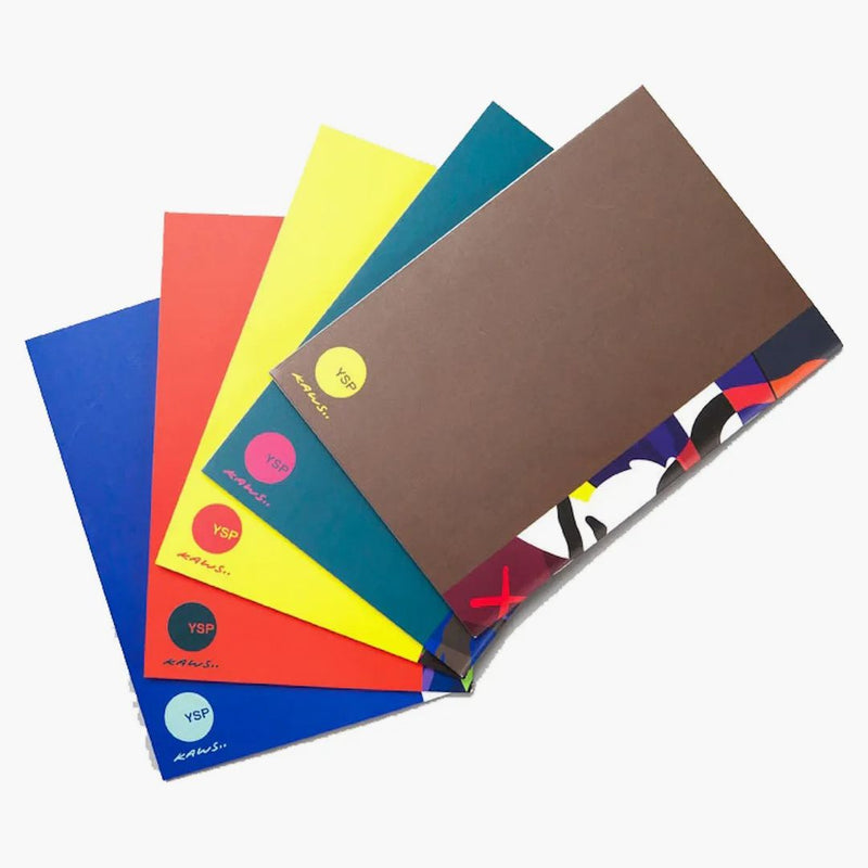 Kaws Notebooks Set of 5 Multi