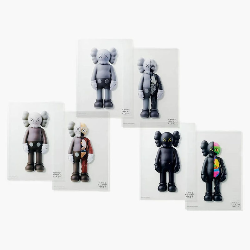 Kaws Tokyo First Clear File Companion & Flayed Companion Gray/Black/Brown Set