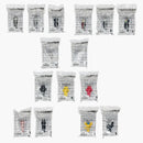 Kaws Tokyo First Companion/Accomplice/JPP/Chum Keychain Set of 15 (2021)