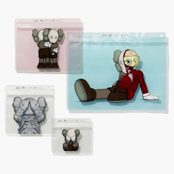 Kaws Tokio First X Pakes Sada