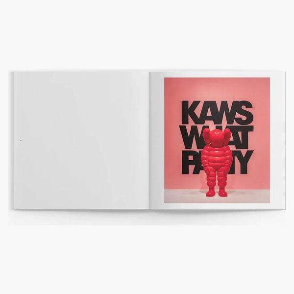 Kaws, jaká strana brožura