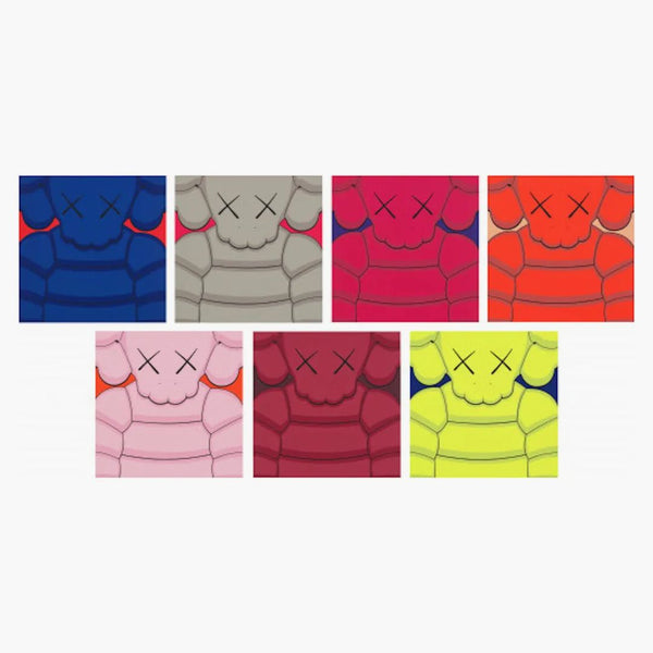 KAWS What Party Portfolio Set 7 tisků (podepsáno, vydání 100)