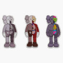 Kaws Companion Flayed Magnet Set multi