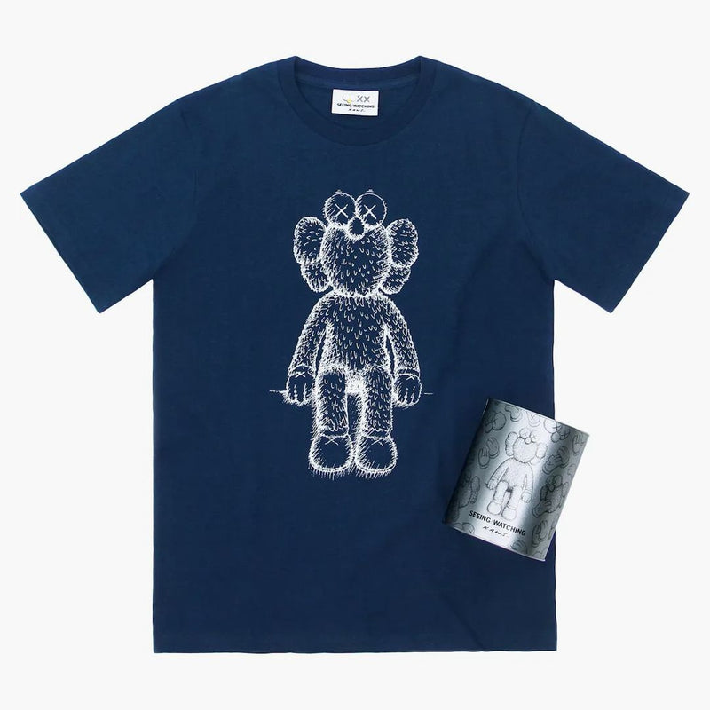 KAWS SEINing/Sledování konzervovaného čaje BFF