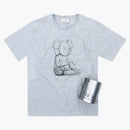Kaws Seing/Watching Companion Canned Tea Gray