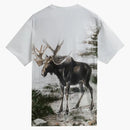 Kith Amnh Late Mammals Vintage Tee White