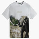 Kith Amnh Late Mammals Vintage Tee White
