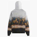 Kith Woodland Nelson Hoodie Pacify