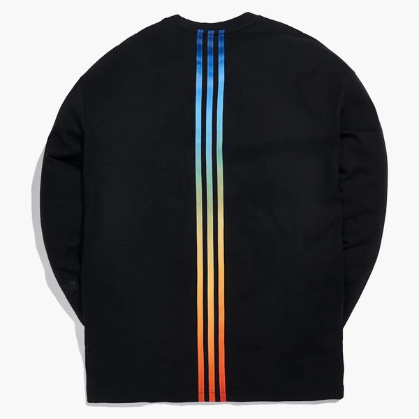 KITH X Adidas Terrex L/S Tea Black