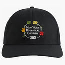 Kith X New York Botanical Garden Twill Aaron Cap Black