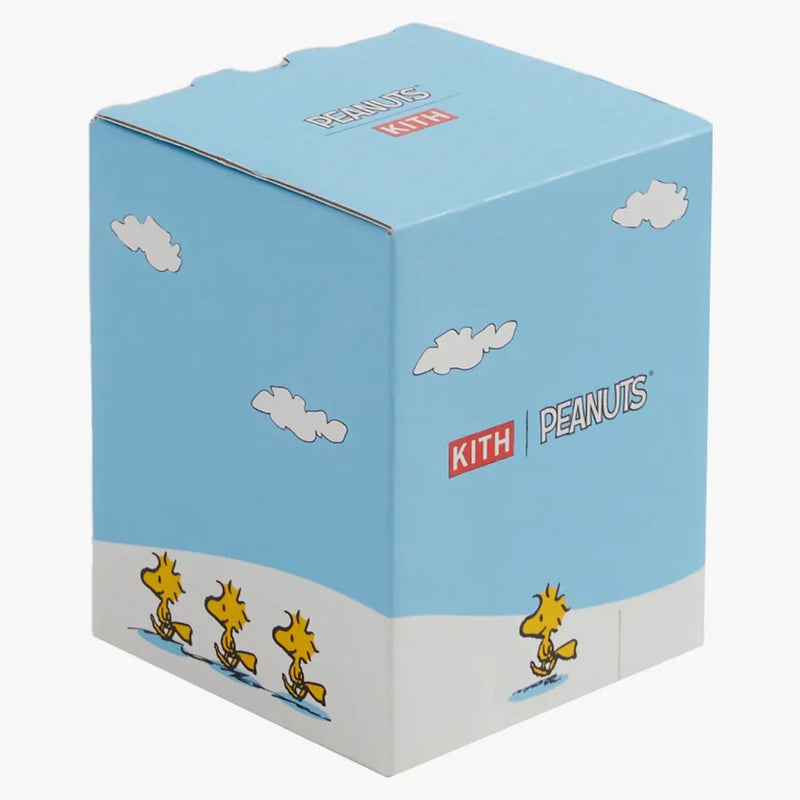 Kith x Peanuts Piggybank Fury