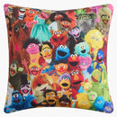 Kith x Sesame Street Pillow Multi