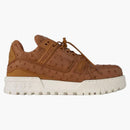 Louis Vuitton Lv Trainer Maxi Brown Ostrich
