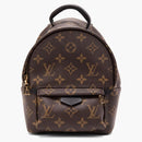 Louis Vuitton Palm Springs Monogram Mini Brown