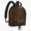 Louis Vuitton Palm Springs Monogram (updated Zipper) Mm
