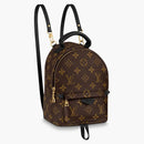 Louis Vuitton Palm Springs Monogram (updated Zipper) Mini Brown