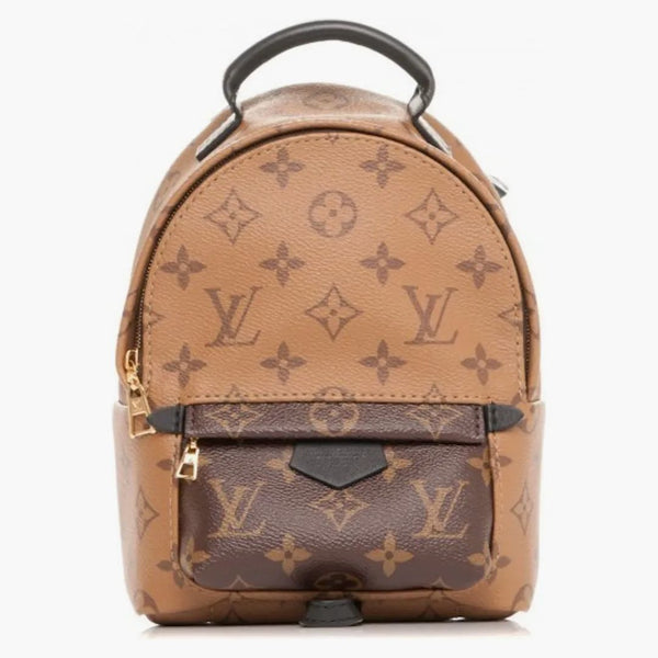 Louis Vuitton Palm Springs Reverse Monogram Mini Brown