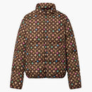 Louis Vuitton By Tyler, The Creator Monogram Printed Light Down Jacket Brown Pastel Multicolor