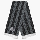 Louis Vuitton X Nigo Lv Made Stripe Scarf Grey