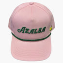 La corda ricamata da maestri ha azalea rosa