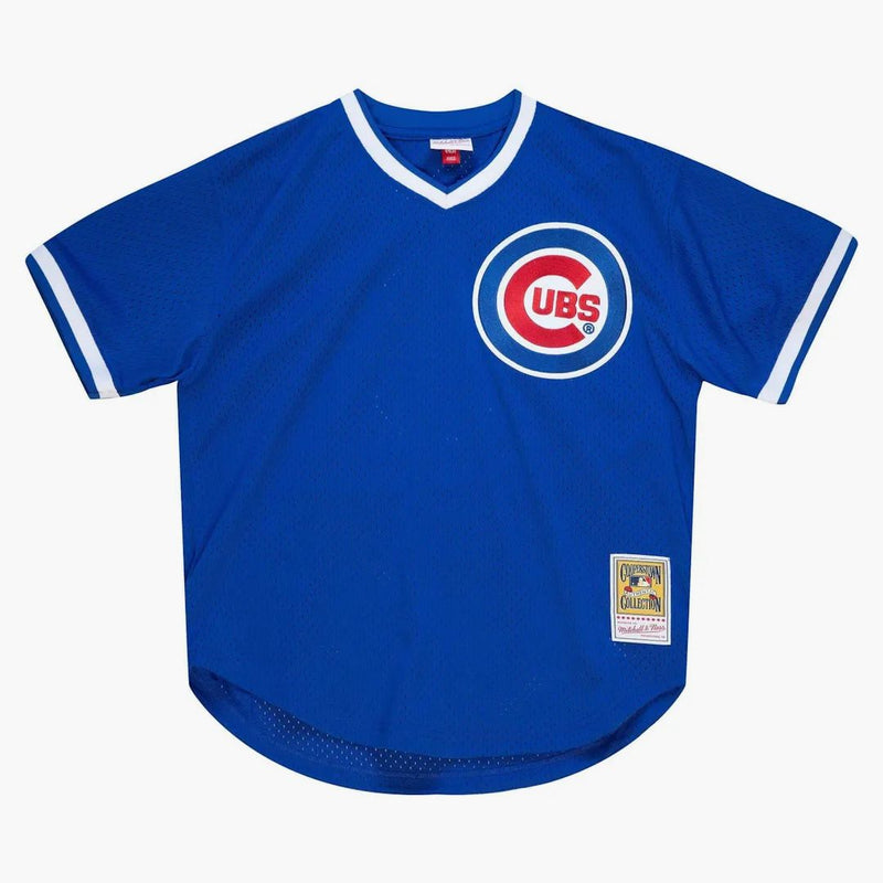 Mitchell & Ness Andre Dawson Chicago Cubs 1987 Pullover Authentic Jersey Royal