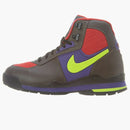 Nike Air Baltoro F/l 315864 Baroque Brown/volt-vrsty Prpl