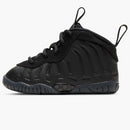 Nike Air Foamposite One Anthracite (2020) (td)