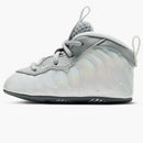 Nike Air Foamposite One Light Smoke Grey (i)