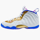 Nike Air Foamposite One Peanut Butter & Jelly (gs)