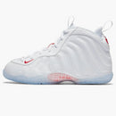 Nike Air Foamposite One Takeout Bag (ps)