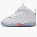 Nike Air Foamposite One Takeout Bag (td)