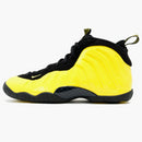 Nike Air Foamposite One Wu-tang (gs)