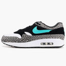 Nike Air Max 1 Atmos X Jordan