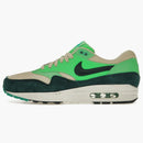 Nike Air Max 1 Birch Atomic Teal