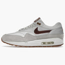 Nike Air Max 1 Bronze Medal