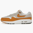 Nike Air Max 1 Bronze