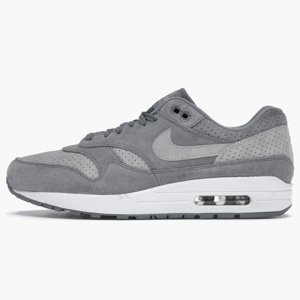 Nike Air Max 1 Cool Gray Wolf Gray