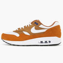 Nike Air Max 1 Curry (2018)