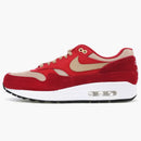 Nike Air Max 1 Curry Pack (red)