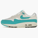 Nike Air Max 1 Dusty Cactus (women's)