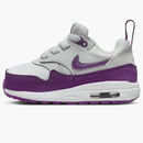 Nike Air Max 1 Easyon Summit White White Viotech (i)