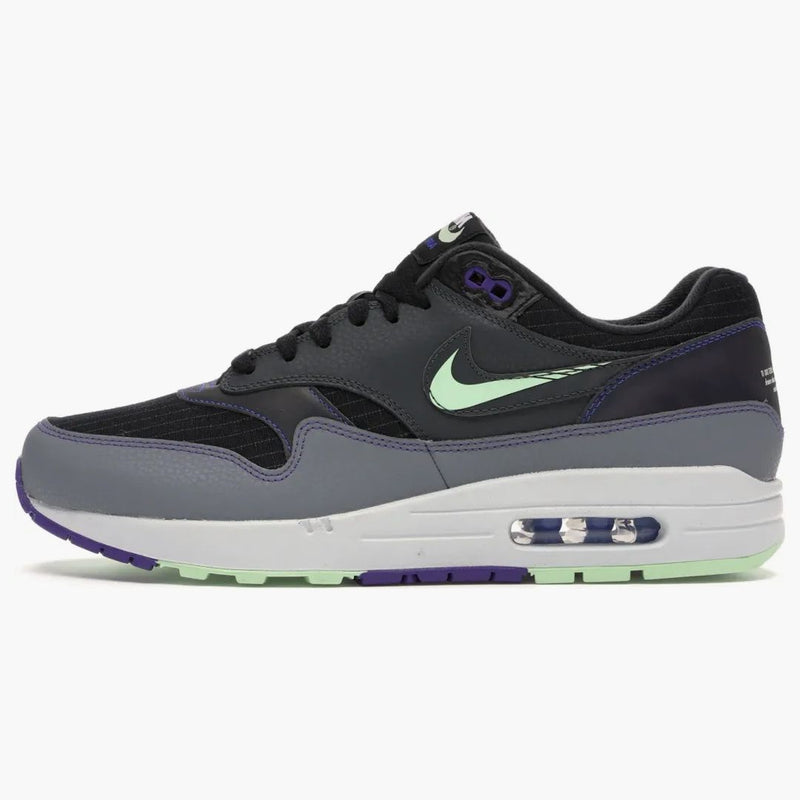 Nike Air Max 1 Future Swoosh Pack