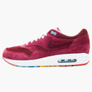 Nike Air Max 1 Parra Patta Cherrywood